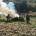 Debilitan al narco: Defensa y Fuerza Aérea queman amapola y marihuana en 6 estados