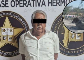 Detienen a presunto asesino MASIVO de mascotas en Hermosillo; envenenaba a perritos con piernas de pollo