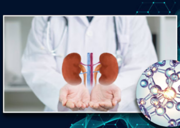 Esta vitamina es esencial para el cuidado y mantenimiento de los riñones