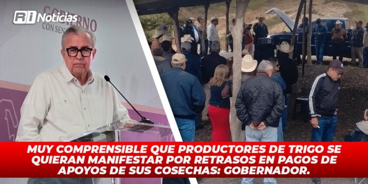 Muy comprensible que productores de trigo se quieran manifestar por retrasos en pagos de apoyos de sus cosechas: Gobernador.