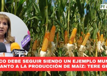 México debe seguir siendo un ejemplo mundial en cuanto a la producción de maíz: Tere Guerra