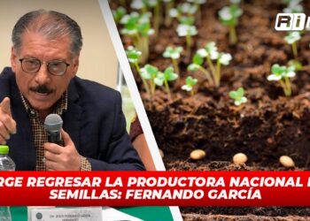 Urge regresar la Productora Nacional de Semillas: Fernando García