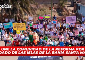 Se une la comunidad de La Reforma por el cuidado de las islas de la bahía Santa María