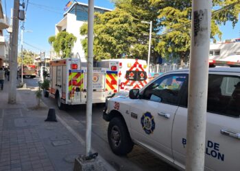 Ataque de abejas en secundaria deja 21 estudiantes lesionadas