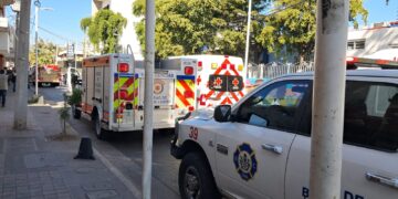 Ataque de abejas en secundaria deja 21 estudiantes lesionadas