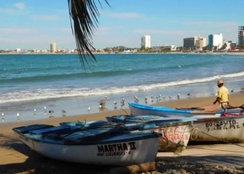 Pescadores artesanales reportan baja producción en Playa Norte