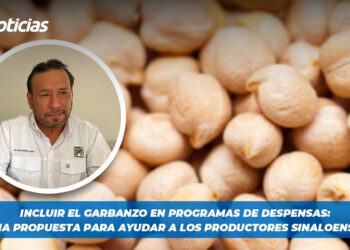 Incluir el Garbanzo en programas de despensas: Una propuesta para ayudar a los productores sinaloenses