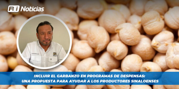 Incluir el Garbanzo en programas de despensas: Una propuesta para ayudar a los productores sinaloenses