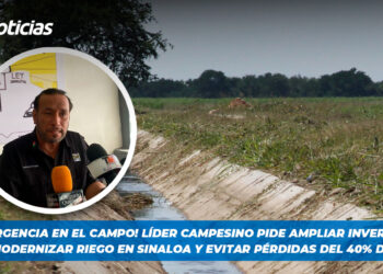 ¡Emergencia en el campo! Líder campesino pide ampliar inversión para modernizar riego en Sinaloa y evitar pérdidas del 40% de agua