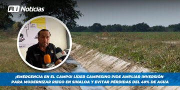 ¡Emergencia en el campo! Líder campesino pide ampliar inversión para modernizar riego en Sinaloa y evitar pérdidas del 40% de agua