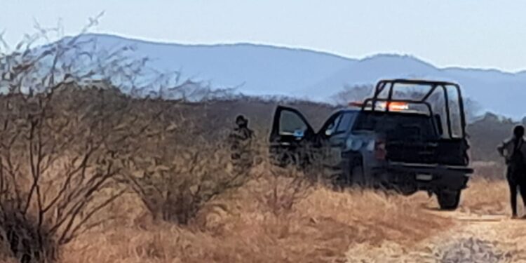 Rastreadoras localizan osamenta en Costa Rica, Culiacán