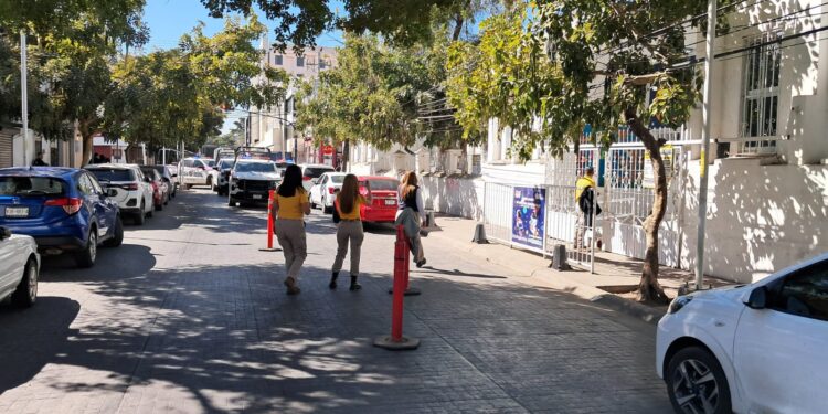 Evacúan a 180 alumnos y docentes de jardín de niños tras ataque de abejas en Culiacán