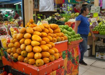 Precios de la canasta básica siguen elevados en marzo de 2025