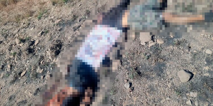 Hallan a dos jóvenes sin vida en tierras de cultivo en La Cruz de Elota