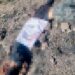 Hallan a dos jóvenes sin vida en tierras de cultivo en La Cruz de Elota
