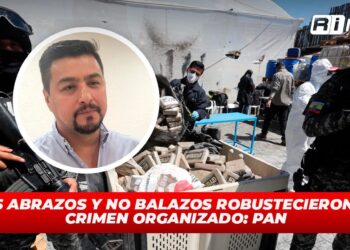 Los abrazos y no balazos robustecieron al crimen organizado: PAN