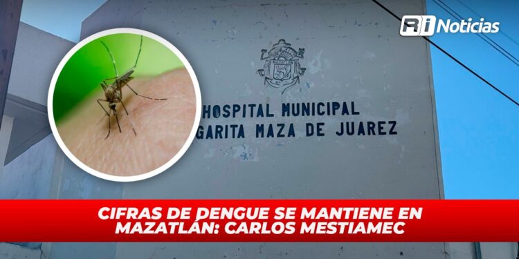 Cifras de dengue se mantiene en Mazatlán: Carlos Mestiamec