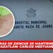 Cifras de dengue se mantiene en Mazatlán: Carlos Mestiamec