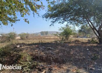 Encuentran a hombre colgado en Los Magueyes