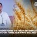 Productores de trigo reciben 2358 pesos por tonelada; pago del 2023-2024