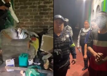 Maltrato animal en Chimalhuacán: rescatan a tres perros tras un impactante video de violencia