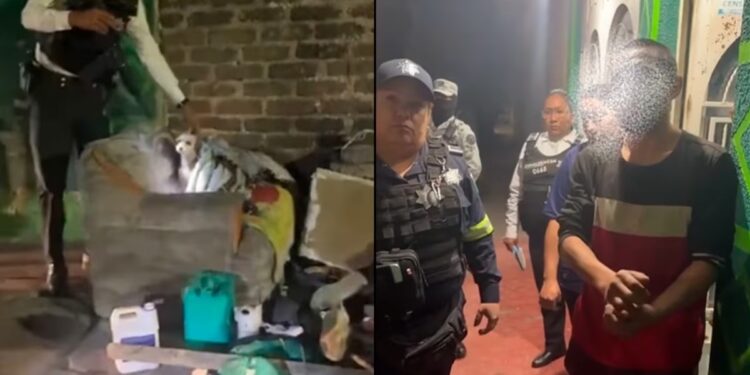 Maltrato animal en Chimalhuacán: rescatan a tres perros tras un impactante video de violencia