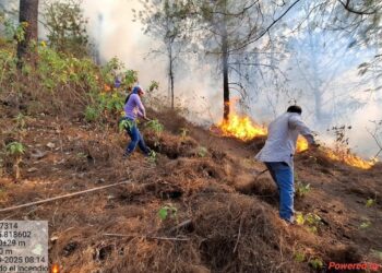 Incendio forestal en Chirimoyos, Concordia se encuentra controlado por autoridades: SEBIDES