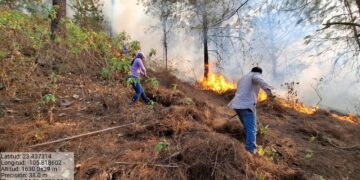 Incendio forestal en Chirimoyos, Concordia se encuentra controlado por autoridades: SEBIDES