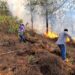 Incendio forestal en Chirimoyos, Concordia se encuentra controlado por autoridades: SEBIDES