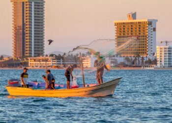 Incorporan 10 especies comerciales a la actualización de la Carta Nacional Pesquera