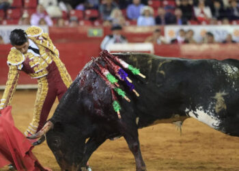 Tauromaquia Mexicana acudirá a tribunales para defender corridas de toros, tras propuesta del Gobierno de CDMX