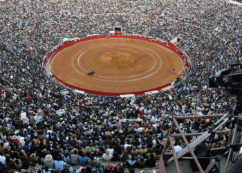 “Es buena salida”: Sheinbaum sobre propuesta del Gobierno CDMX de prohibir corridas de toros “con violencia”