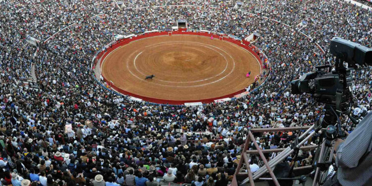 “Es buena salida”: Sheinbaum sobre propuesta del Gobierno CDMX de prohibir corridas de toros “con violencia”