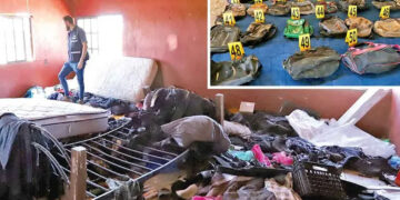 Desde 2006 había campos de exterminio