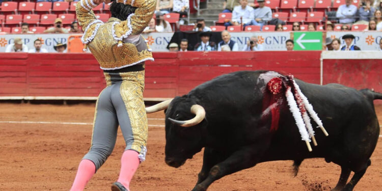 Gobierno de CDMX prohíbe las corridas de toros “con violencia”