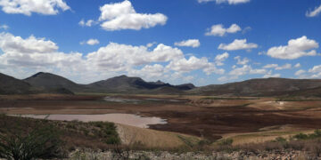 Aumenta sequía en México, ¿cuáles son los estados más afectados?