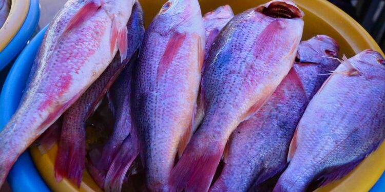 Cuaresma entra en su recta final, pero pescados y mariscos siguen populares en la temporada