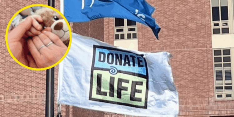 “Nuestro bebecito héroe”: Influencer confirma que donará los órganos de su bebé tras su muerte