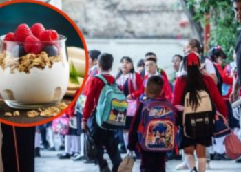 ¿Cómo elegir un yogur para el lunch de mis hijos y que no se considere como comida chatarra?