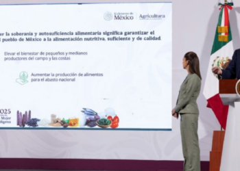 México anuncia más de 83 mil mdp para alcanzar la soberanía alimentaria