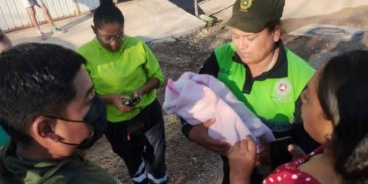 Abandonan a bebé recién nacida en barranca de Guerrero; aún tenía cordón umbilical