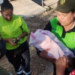 Abandonan a bebé recién nacida en barranca de Guerrero; aún tenía cordón umbilical