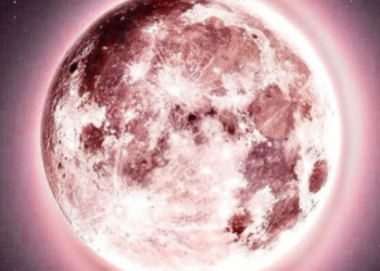 Esta es la mejor hora para ver la luna llena rosa en México esta noche