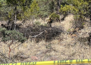 Nuevos “Campos de muerte” son hallados por madres buscadoras en Reynosa