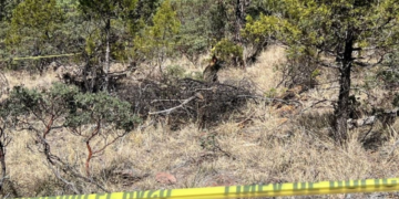Nuevos “Campos de muerte” son hallados por madres buscadoras en Reynosa
