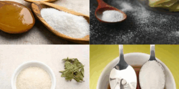 Sustitutos de azúcar: ¿Cuántos y cuáles son? aprende a elegir el mejor