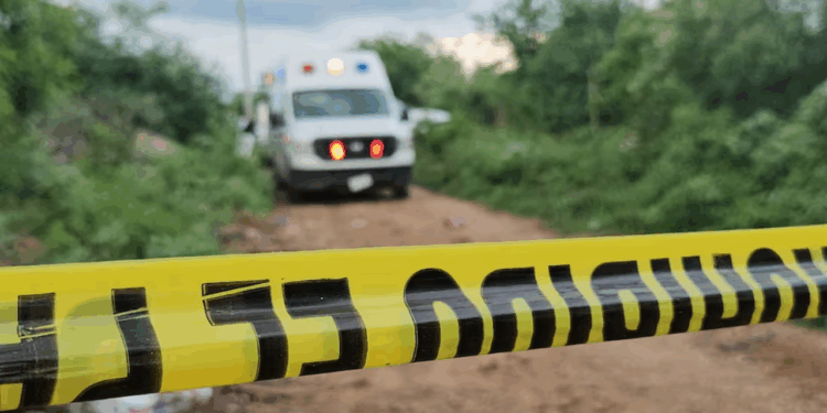 Colectivo “Sabuesos Guerreras” halla 10 cuerpos en 6 fosas clandestinas en Culiacán; continúa búsqueda de más indicios