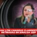 Suman 1,738 cámaras clandestinas retiradas en Sinaloa: SSP