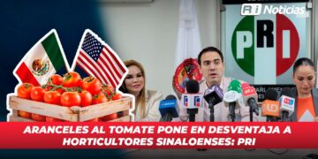 Aranceles al tomate pone en desventaja a horticultores sinaloenses: PRI