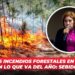 Suman 35 incendios forestales en Sinaloa en lo que va del año: SEBIDES